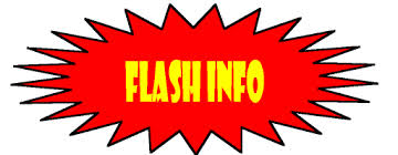 flash-info