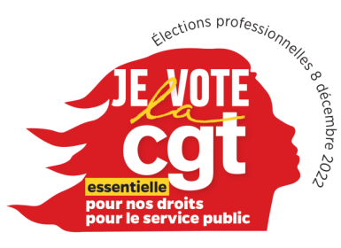 elections 20professionnell